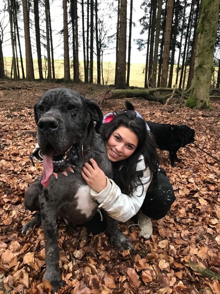 Ben im Wald, Februar 2019