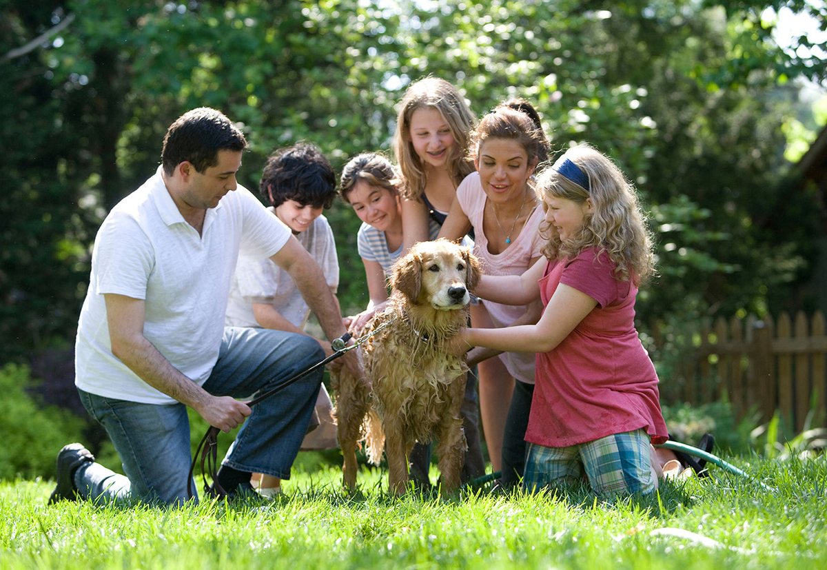 Ein Hund, der in seiner Familie angekommen ist